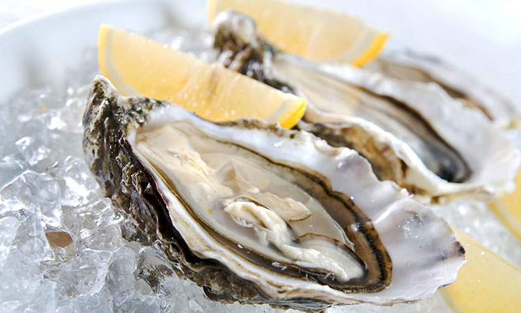 fresh delicious oysters in patmos greece